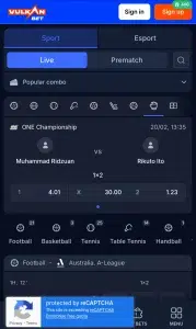 Vulkan bet mobili versija